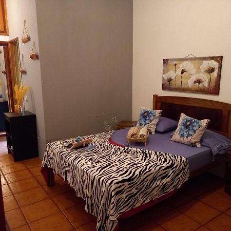 Divin'Art Bed and Breakfast Ribeira Grande Eksteriør billede